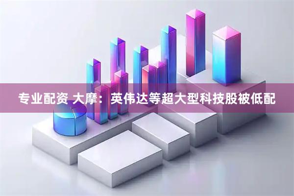 专业配资 大摩：英伟达等超大型科技股被低配