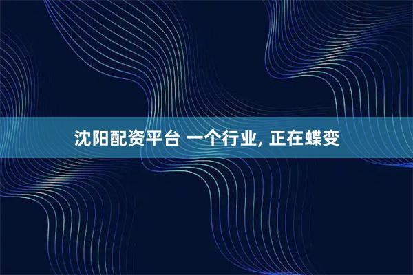 沈阳配资平台 一个行业, 正在蝶变