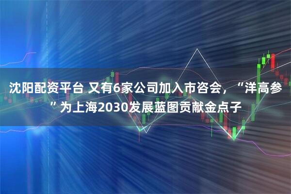 沈阳配资平台 又有6家公司加入市咨会，“洋高参”为上海2030发展蓝图贡献金点子
