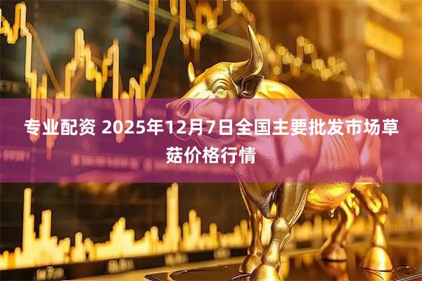 专业配资 2025年12月7日全国主要批发市场草菇价格行情