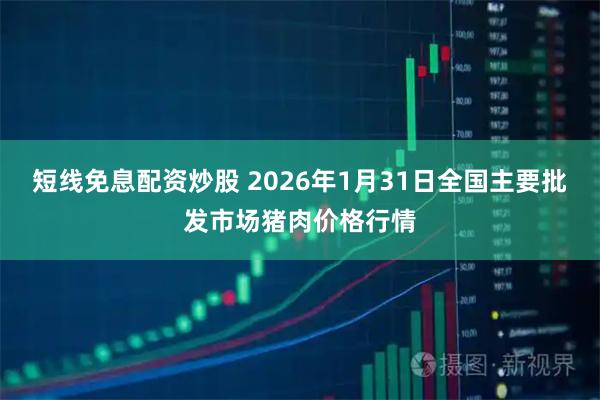 短线免息配资炒股 2026年1月31日全国主要批发市场猪肉价格行情