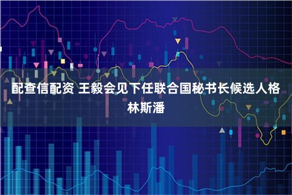 配查信配资 王毅会见下任联合国秘书长候选人格林斯潘
