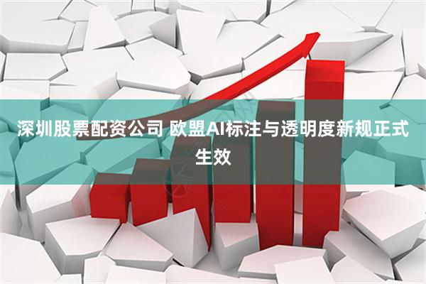 深圳股票配资公司 欧盟AI标注与透明度新规正式生效